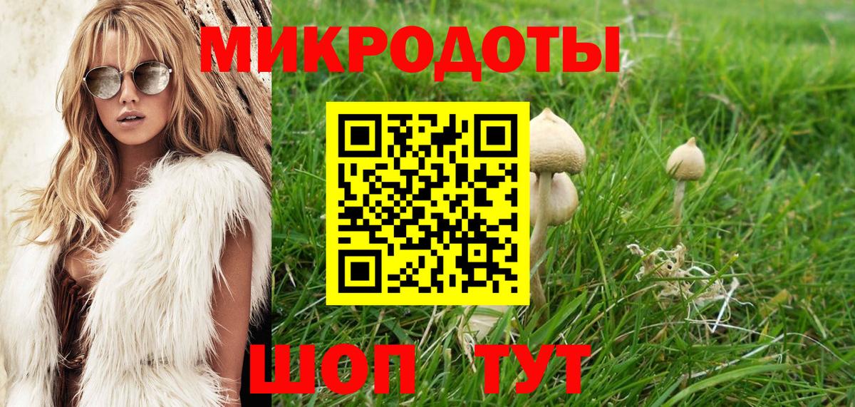 Галлюциногенные грибы мицелий Кандалакша