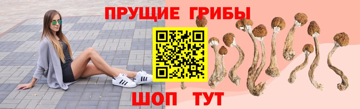 Псилоцибиновые грибы мухоморы  Псилоцибиновые грибы мухоморы  Вход с VPN  Кандалакша 